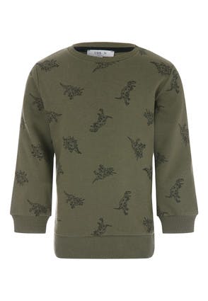 Younger Boys Khaki Dinosaur Sweatshirt