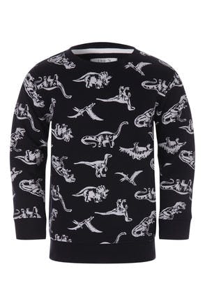 Younger Boys Black Dinosaur Sweatshirt
