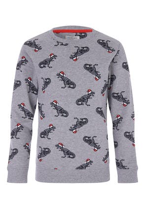Older Boys Grey Dinosaur Christmas Sweatshirt