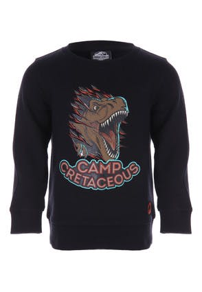 Younger Boys Jurassic World Camp Cretaceous Sweater