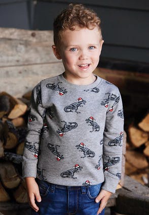 Younger Boys Grey Dinosaur Christmas Sweatshirt