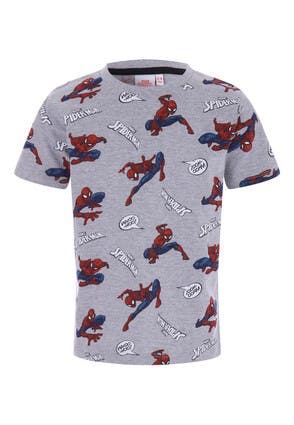 Younger Boys Grey Spiderman T-Shirt