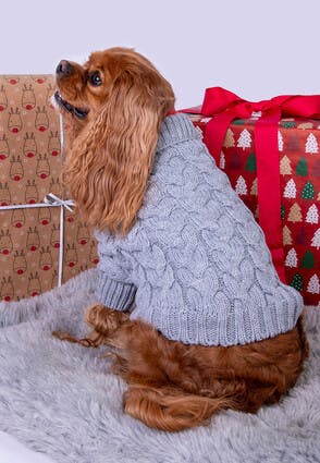 Dog Grey Cable Knit Jumper